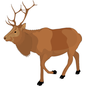 Moose, elk PNG-66248